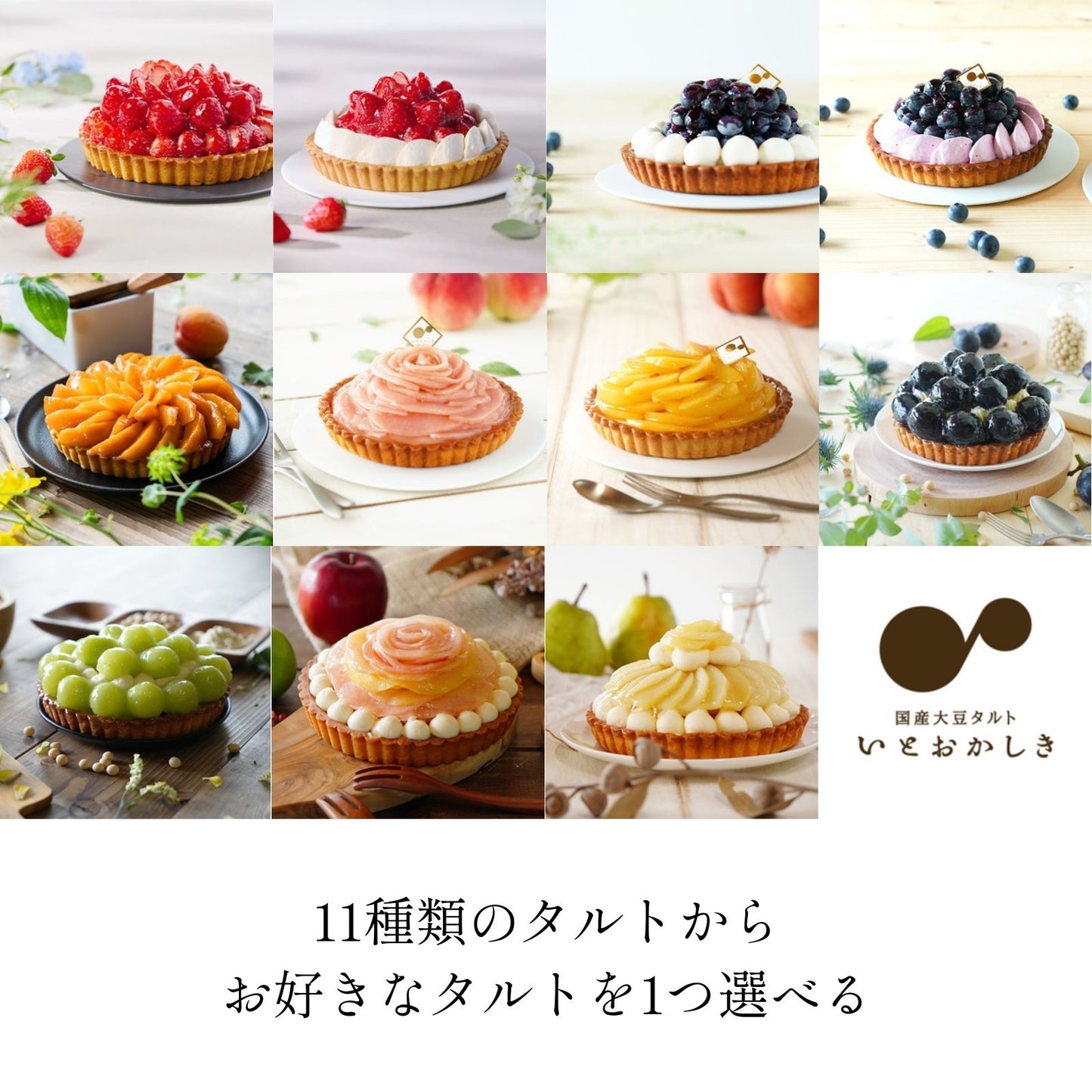 カタログギフト「フルーツタルト|国産大豆タルト専門店いとおかしき」