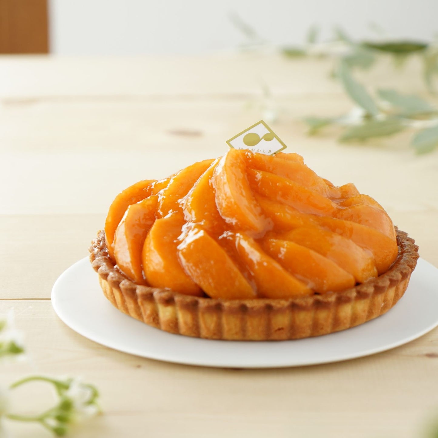 長野県産ハーコット(あんず)