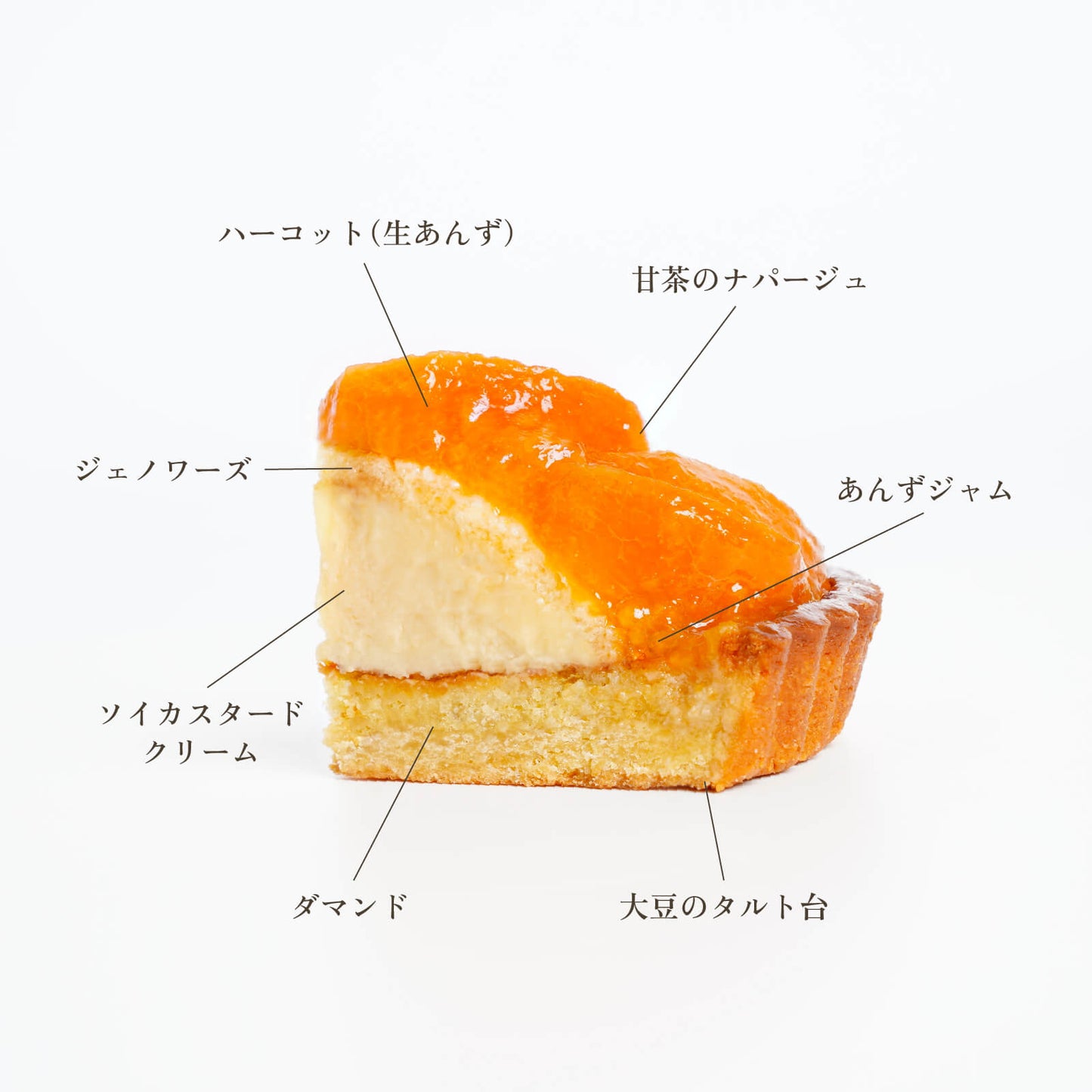 長野県産ハーコット(あんず)