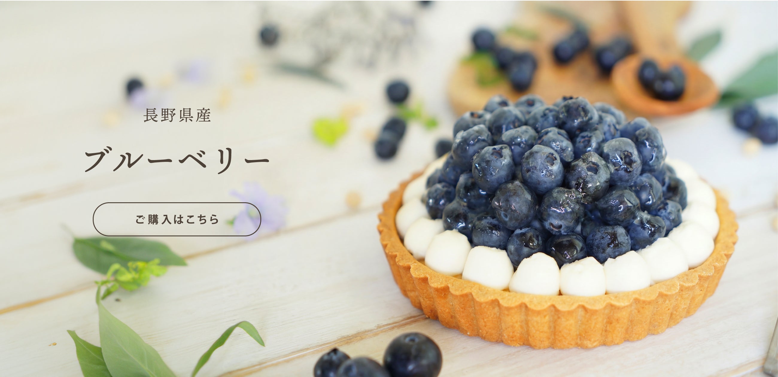 タルト専門店｜フルーツタルトのお取り寄せ・通販｜いとおかしき