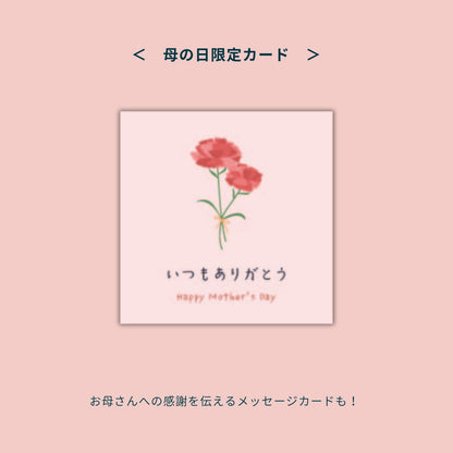 【母の日ギフト・ミニタルト2個セット】長野県産いちご・りんご