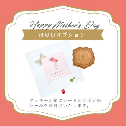 長野県産いちご