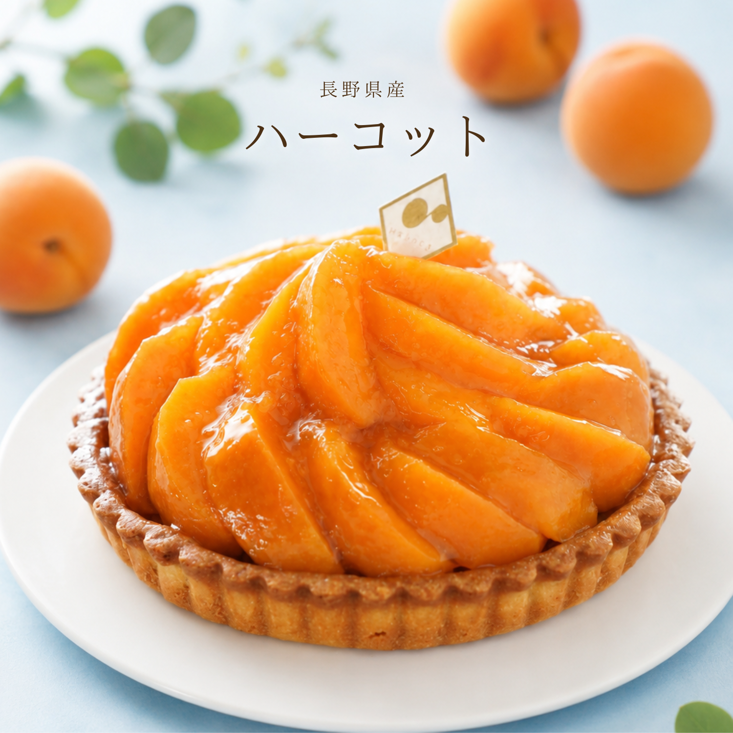 長野県産ハーコット